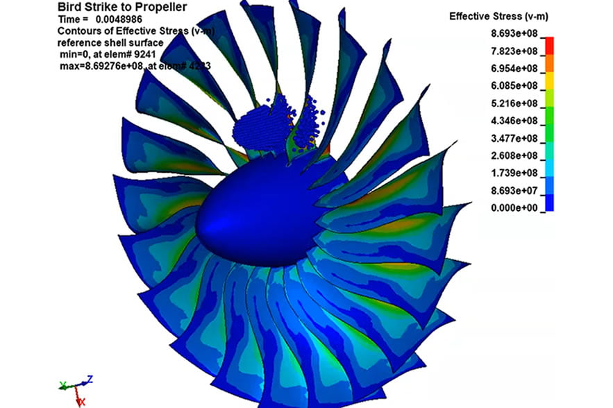Bird strike simulation - The real cost of bird strikes and the value of simulation